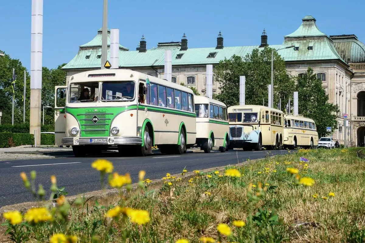 Mehrere Oldtimerbusse stehen vor dem Japanischen Palais in Dresden